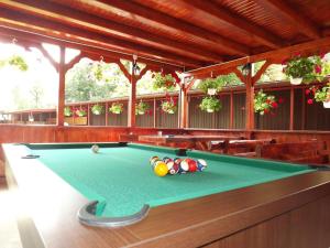 a pool table in the middle of a room at Casa Toader in Gura Teghii