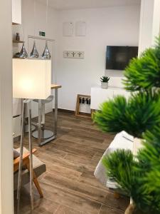 TV a/nebo společenská místnost v ubytování Apartments Tessera
