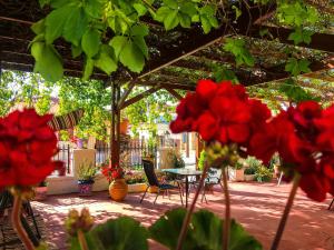 a patio with red flowers and a table and chairs at Ulysses Hotel in Methoni