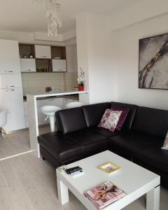 Gallery image of Urban Apartment in Petrovac na Moru