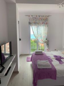 a bedroom with a bed and a tv and a window at Urban Apartment in Petrovac na Moru
