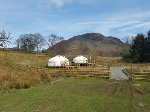 two domes in a field with a mountain in the background at Syke Farm Campsite - Yurt's and Shepherds Hut in Buttermere