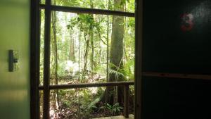 a view through a window of a forest filled with plants at Daintree Crocodylus in Cow Bay