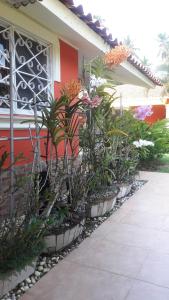 Zahrada ubytování villa Clara