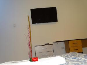 TV a/nebo společenská místnost v ubytování Peruvian Family Hostal Miraflores