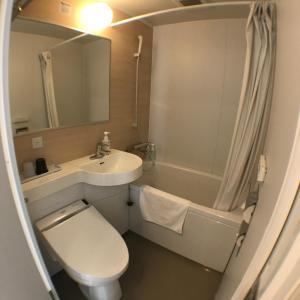 札幌的住宿－札幌弗萊姆酒店，浴室配有卫生间、盥洗盆和浴缸。