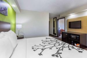 um quarto com uma cama e uma televisão de ecrã plano em Sleep Inn near Busch Gardens - USF em Tampa