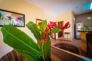 Fotografie z fotogalerie ubytování Casa palmito cerca de la playa v destinaci Yelapa