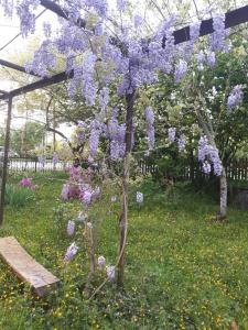 Giardino di Guesthouse Luka