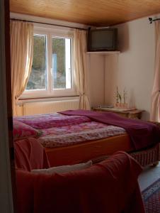 Schlafzimmer mit einem großen Bett und einem Fenster in der Unterkunft Appartement La Coudraie in Blonay