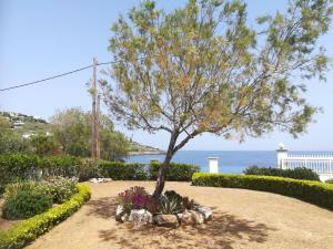 a tree in the middle of a garden with flowers at Breezy Beach House in Agia Marina Mikrolimanou