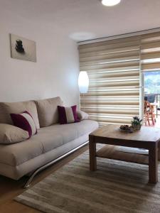 Una sala de estar con un sofá y una mesa de café. en Villa Ammirevole -MOON-, en Visoko
