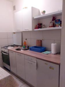 Køkken eller tekøkken på Mali apartman za veliki odmor LUDI