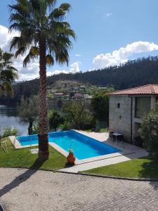 a swimming pool with a palm tree next to a house at Casa Dos Gaios in Vieira do Minho