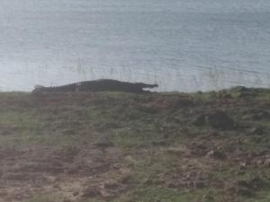 Afbeelding uit fotogalerij van Amawin Resort in Hambantota