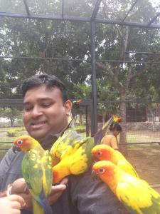 mężczyzna trzymający cztery kolorowe ptaki na ramieniu w obiekcie Amawin Resort w mieście Hambantota
