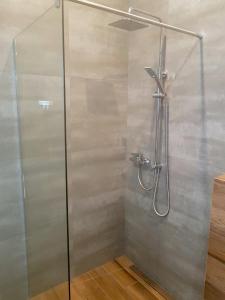 eine Dusche mit Glastür im Bad in der Unterkunft Ośrodek Wypoczynkowy Beskid in Mienzebrosche