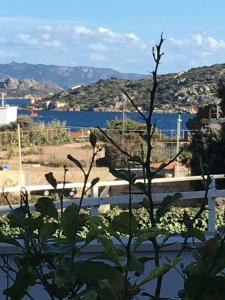 a view of a body of water from a plant at Residence Le Terrazze in La Maddalena