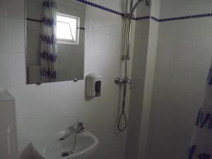 a bathroom with a shower and a sink at Residencia Laranjeira in Odeceixe