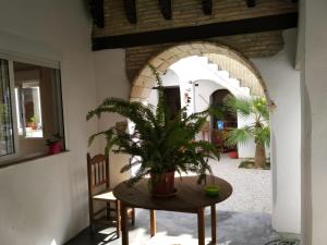 Zdjęcie z galerii obiektu Casa Florinda #3 w mieście Jerez de la Frontera