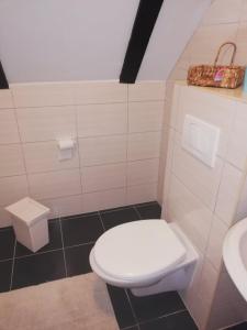 La salle de bains est pourvue de toilettes blanches et d'un lavabo. dans l'établissement Sobe/Moduli na OPG-u Zajec, à Zmajevac