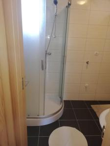 een badkamer met een douche, een toilet en een wastafel bij Sobe/Moduli na OPG-u Zajec in Zmajevac