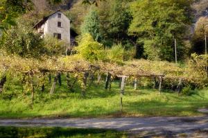 an old house on a hill with trees and a road at Pensione Boschetto in Cevio