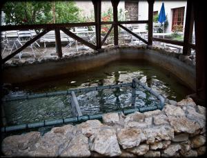 Billede fra billedgalleriet på Splendid Hôtel i Montreuil-Bellay + 6 billeder