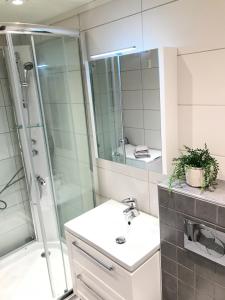 a bathroom with a shower and a sink and a mirror at Kvaløya Lodge in Lanes