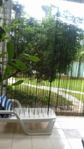 a plant sitting in front of a window at Villa Verde Apartments and Rooms in Premantura