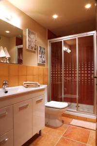 uma casa de banho com um chuveiro, um WC e um lavatório. em Apartamento La Seo em Barbastro