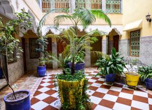 Un patio con plantas en macetas sobre un suelo a cuadros. en Hôtel Faouzi, en Marrakech