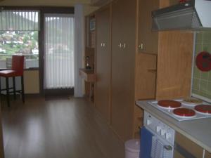 a kitchen with a stove and a counter top at Ferien Penthouse Panoramablick oder Studio Panoramablick in Bad Grund