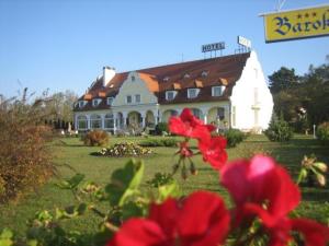 Ogród w obiekcie Barokk Hotel
