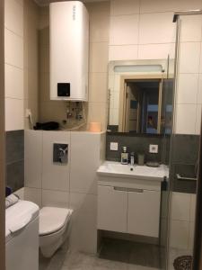 a bathroom with a toilet and a sink and a mirror at Центр Буча апартаменти подобово in Bucha