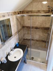 a bathroom with a sink and a shower at Anglesey Hotel in Gosport +59 photos