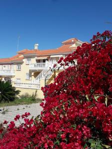 Gallery image of Carolinas aptmt Orihuela in Villacosta