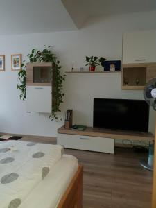 a living room with a flat screen tv and a couch at Ferienwohnung "Elsnerstrasse" in Nürnberg