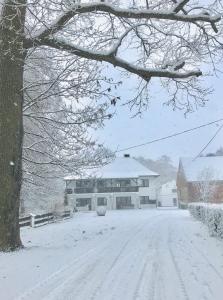 Gallery image of Agroturystyka Nad Stawem in Centawa