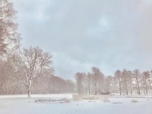 Gallery image of Agroturystyka Nad Stawem in Centawa