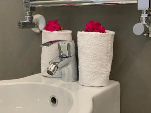 due rotoli di carta igienica seduti su un lavandino del bagno di A casa di Elly a Roma