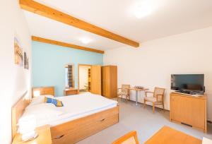 ein Schlafzimmer mit einem Bett und einem TV in einem Zimmer in der Unterkunft Hotel Kaskáda in Kuřim