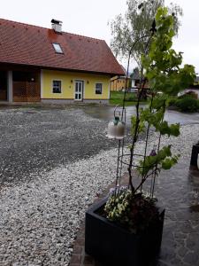 Zahrada ubytování Russhof-Fam.Thomann