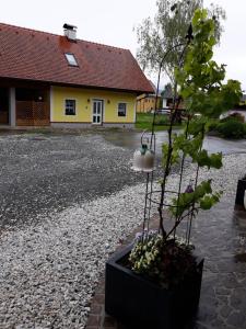 a potted tree in a black planter in front of a house at Russhof-Fam.Thomann in Stainz