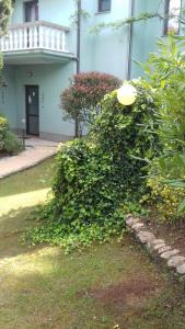a large green bush in front of a building at Villa Verde Apartments and Rooms in Premantura