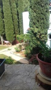 a garden with a large pot of plants and trees at Villa Verde Apartments and Rooms in Premantura