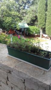 a green planter with plants in a park at Villa Verde Apartments and Rooms in Premantura
