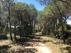 Φωτογραφία από το άλμπουμ του Villa Sa Curcurica σε Orosei +43 φωτογραφίες