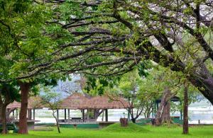 a gazebo in a park with trees and grass at Habarana Village by Cinnamon in Habarana