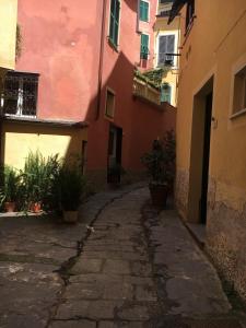 an alley in an old town with colorful buildings at La casetta di Monterosso in Monterosso al Mare